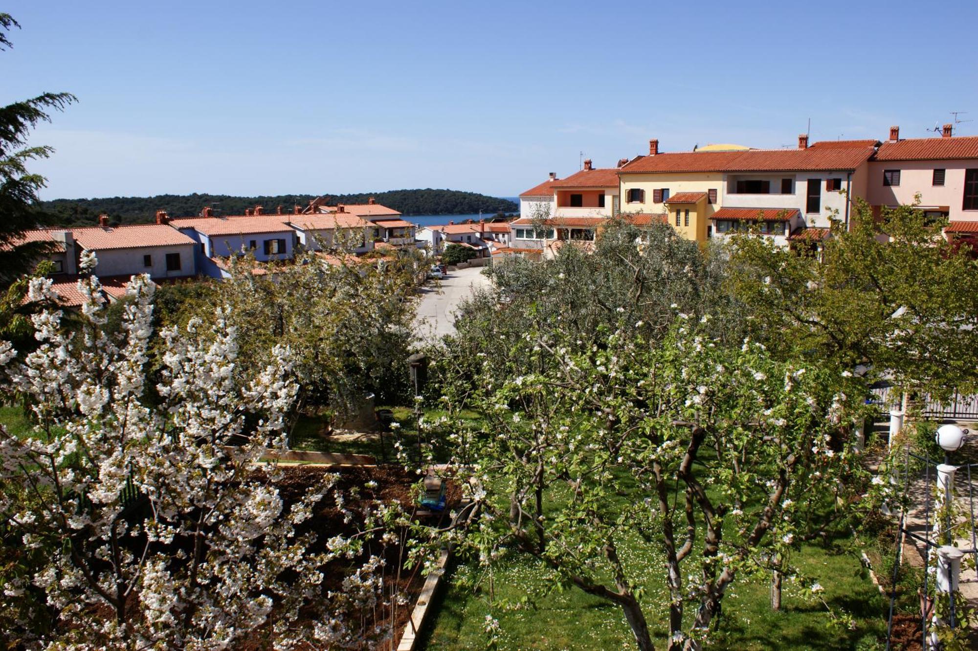 Apartments Cezar Vinkuran Luaran gambar